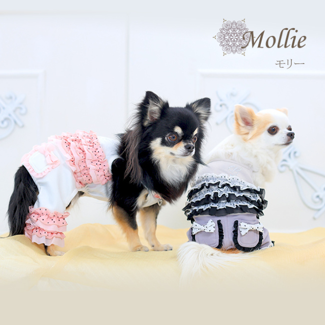 グラマーイズム Glamourism モリー（Mollie）選べる2色