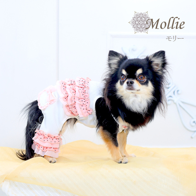 グラマーイズム Glamourism モリー（Mollie）選べる2色