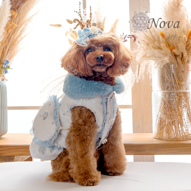 値下げグラマーイズムNovaブルーSS 犬服ブランド グラマーイズム Glamourism ノヴァ（Nova）選べる3色
