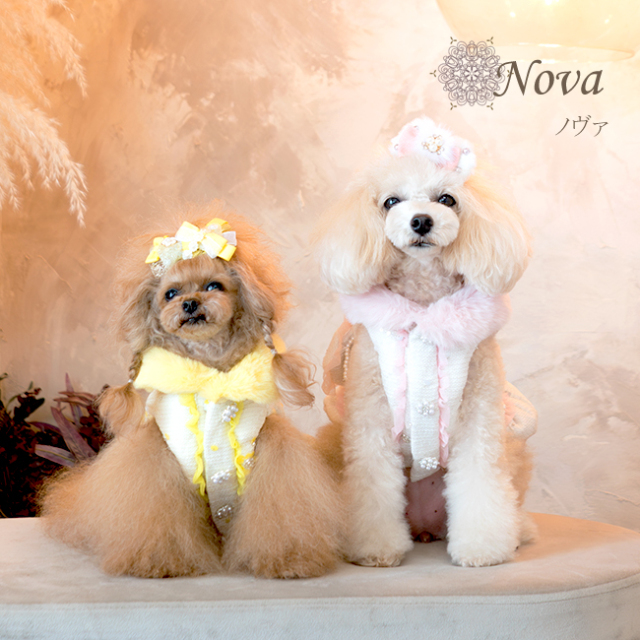 犬服ブランド グラマーイズム Glamourism ノヴァ（Nova）選べる3色