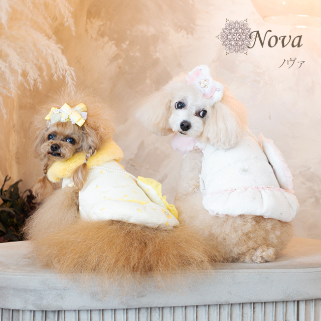 犬服ブランド グラマーイズム Glamourism ノヴァ（Nova）選べる3色