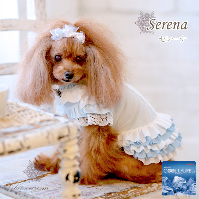 グラマーイズム Glamourism - セレーナ（Serena）選べる2色