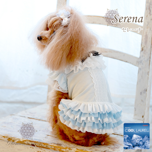 グラマーイズム Glamourism - セレーナ（Serena）選べる2色