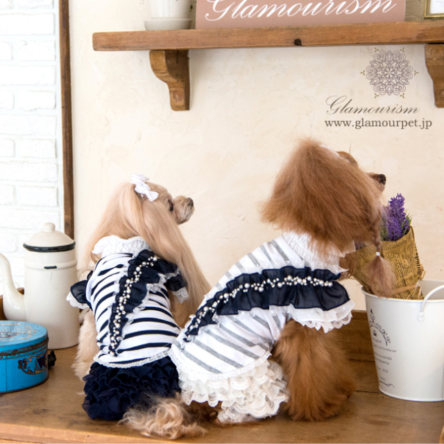 グラマーイズム　犬服 犬服ブランド グラマーイズム Glamourism ジェシカ（Jessica