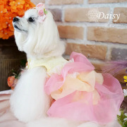 犬服ブランド「グラマーイズム（Glamourism）」 公式通販