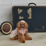 グラマーイズム Glamourism リズ (Liz) 選べる3色