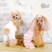 犬服ブランド「グラマーイズム（Glamourism）」 公式通販