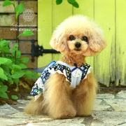 グラマーイズム Glamourism ティアラ デニム コート【SM】 犬服アウター｜【犬服ブランド】Glamour (グラマーイズム)