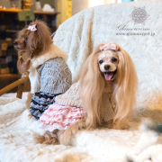 グラマーイズム Glamourism ティアラ デニム コート【SM】 犬服アウター｜【犬服ブランド】Glamour (グラマーイズム)