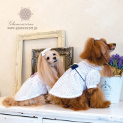 グラマーイズム　ローザ　S 犬服ブランド グラマーイズム（Glamourism）公式通販