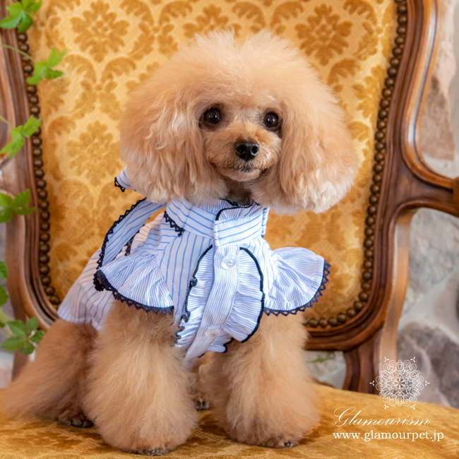 グラマーイズム Glamourism ミランダ（Miranda）選べる2色