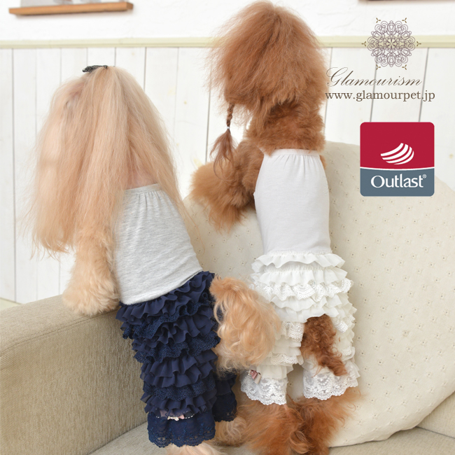 グラマーイズム　ノア（Noah）　選べる2色