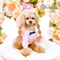 アリアンナ（Ariana）