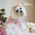 ルミ（Rumi）