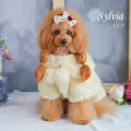 シルビア（Sylvia）