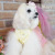 ディジー（Daisy）