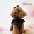 ハニー（Honey）