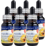 液体プロポリス40% 25ml 6本セット
