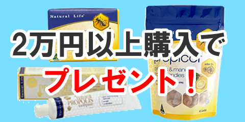 2万円以上購入でプレゼント！