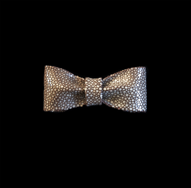 BOW TIE | ボウタイ