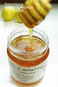 :: オーリーブオイルソムリエのいる専門店 ゴープレミア　- Go Premiere -