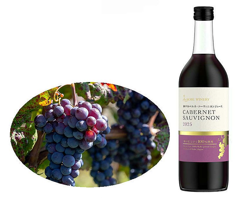 神戸ワインカベルネ