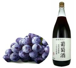 アルプス　国産葡萄酒　赤　１８００ｍｌ