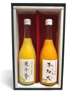 不知火・媛小春ギフト