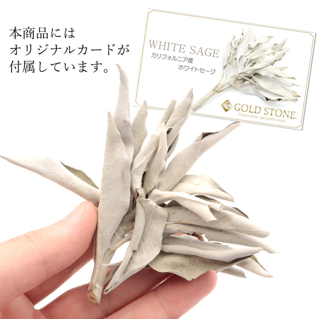 ホワイトセージ 枝付き クラスター 無選別 100g 無農薬 高品質