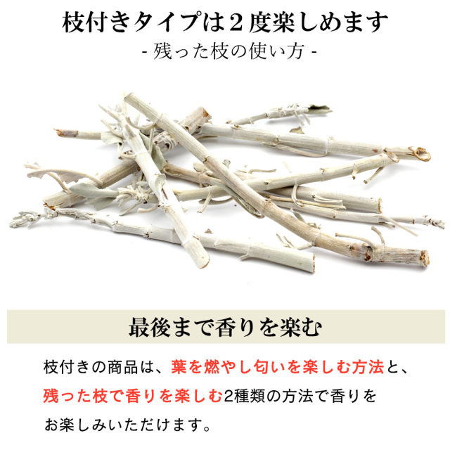 ホワイトセージ 枝付き クラスター 無選別 100g 無農薬 高品質