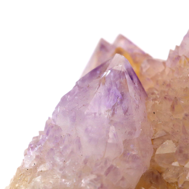 カクタス アメジスト 原石 結晶 南アフリカ産 1点物 スピリットクォーツ AAA ツーソン展示会商品