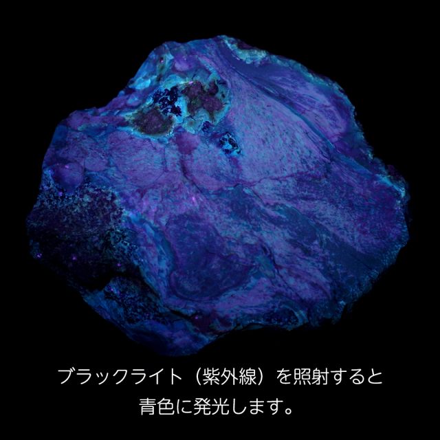ブルーアンバー 原石 琥珀 こはく ブラックライト付き タイガーアンバー インドネシア産 スマトラ島 1点もの 天然石