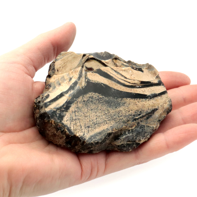 ビッグサイズ！スマトラ島産琥珀（ヤングアンバー）こはくy256 ビッグサイズスマトラ島産琥珀(ヤングアンバー)こはくy256 GOLD