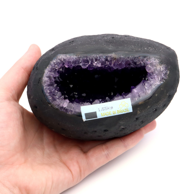 アメジスト ドーム 約1.55kg 小型 卓上サイズ 紫水晶 ジオード 晶洞 天然石 ウルグアイ産 1点物 台座付き 濃紫