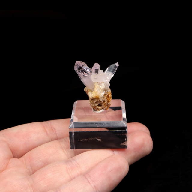 ベラクルス アメジスト ポイント クラスター メキシコ産 結晶石 1点もの ツーソン展示会商品 紫水晶 天然石 パワーストーン