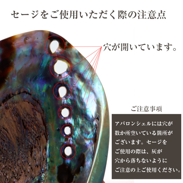 アバロンシェル ホワイトセージの浄化皿 パウアシェル 貝殻 ニュージーランド産