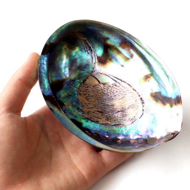 アバロンシェル ホワイトセージの浄化皿 パウアシェル 貝殻 ニュージーランド産