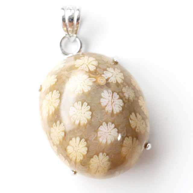 フォシルコーラル ペンダント 珊瑚化石 1点物 Silver925 天然石