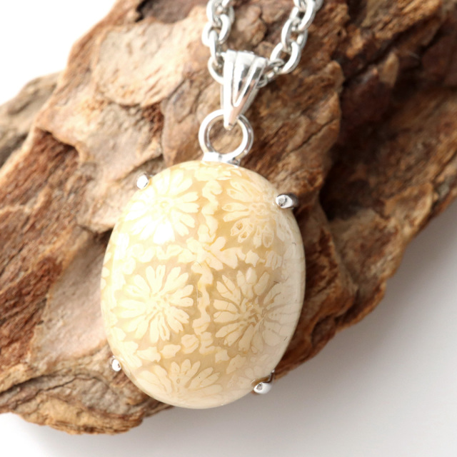 フォシルコーラル ペンダント 珊瑚化石 1点物 Silver925 天然石