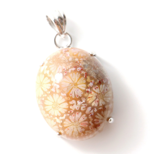 フォシルコーラル ペンダント 珊瑚化石 1点物 Silver925 天然石