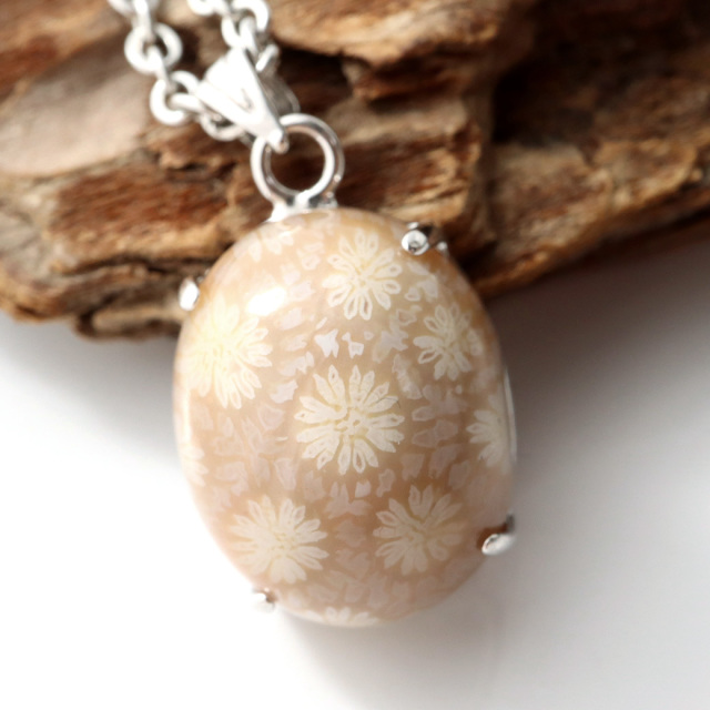 フォシルコーラル ペンダント 珊瑚化石 1点物 Silver925 天然石