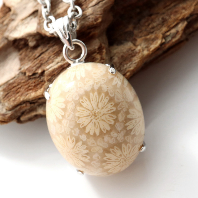 フォシルコーラル ペンダント 珊瑚化石 1点物 Silver925 天然石