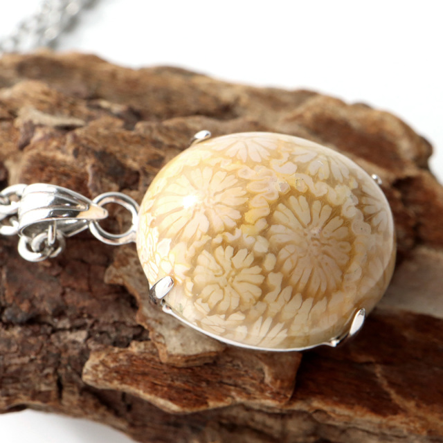 フォシルコーラル ペンダント 珊瑚化石 1点物 Silver925 天然石