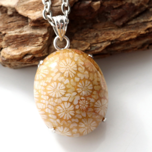 フォシルコーラル ペンダント 珊瑚化石 1点物 Silver925 天然石