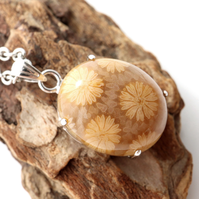 フォシルコーラル ペンダント 珊瑚化石 1点物 Silver925 天然石