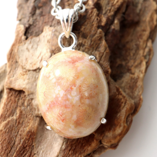 珊瑚（コーラル） | 日本でも採取される宝石珊瑚