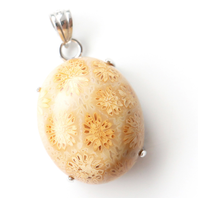 フォシルコーラル ペンダント 珊瑚化石 1点物 Silver925 天然石