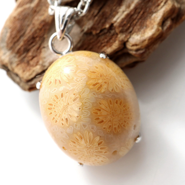 フォシルコーラル ペンダント 珊瑚化石 1点物 Silver925 天然石