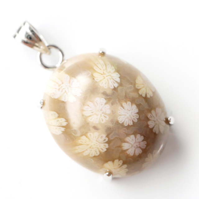 フォシルコーラル ペンダント 珊瑚化石 1点物 Silver925 天然石