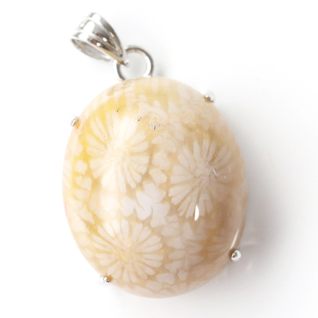 フォシルコーラル ペンダント 珊瑚化石 1点物 Silver925 天然石